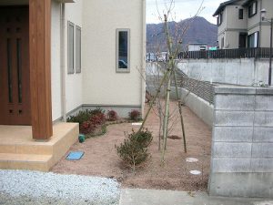 DSCN4906