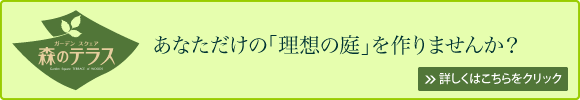 森のテラスについて詳しくはこちら